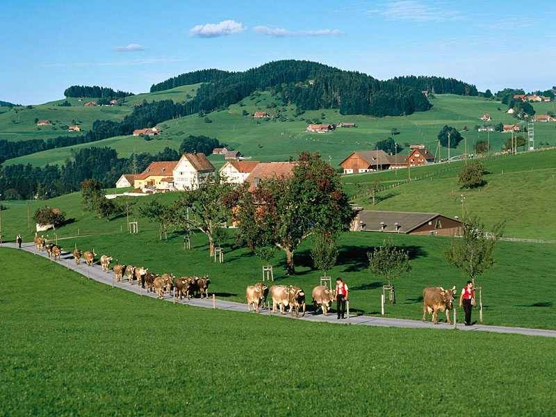 Appenzell, Switzerland.jpg