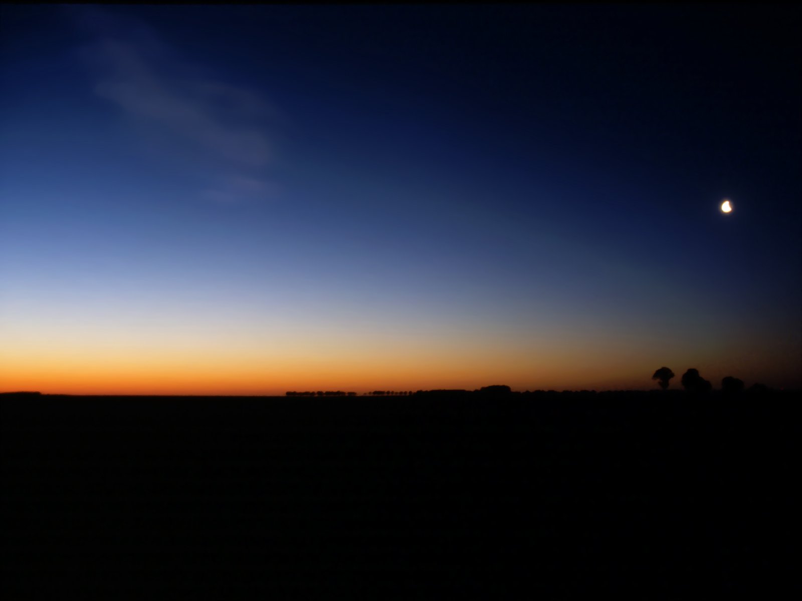 Edenpics-com_003-043-Dawn-taken-in-wide-angle-with-the-moon-and-some-trees-far-away-France-Centre.jpg