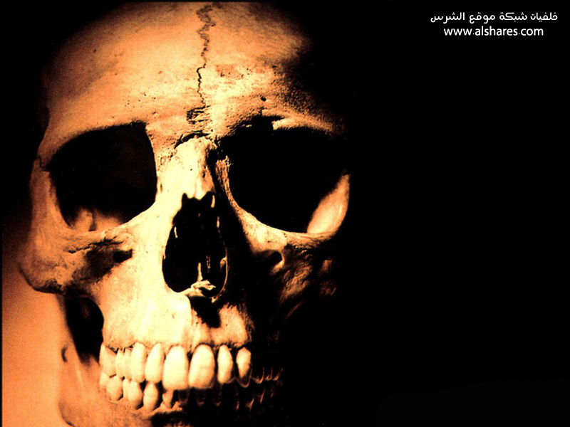 skull-4.jpg